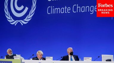 'Maybe They Should Be Zooming These Conferences': Top GOPer Mocks COP26 Attendees' Carbon Emissions