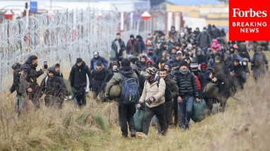 Kamala Harris Comments On Belarus Border Crisis In Relation To US Southern Border