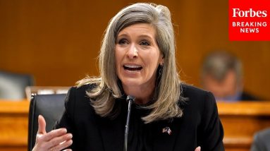 Joni Ernst Warns Of Attacks On Agriculture Sector