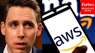 Josh Hawley Calls Out Amazon During Senate Hearing