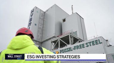 Lazard's Jacobs: Expect More Incentives for Green Investing