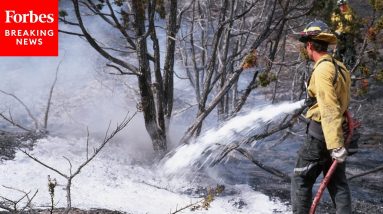Tammy Baldwin Grills FAA Commissioner About Use Of Dangerous Firefighting Foam