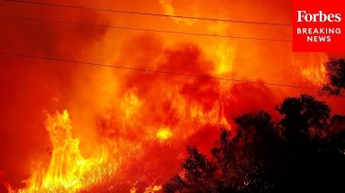 'This Saves Lives': Senate Dem Proposes Amendment To Not Cap Overtime For Wildfire Weather Response