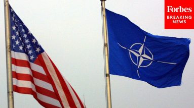 Tim Kaine Asks Ambassador Nominees If They Can Push Countries To Work Better With NATO