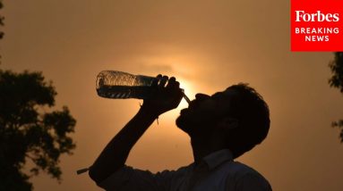 1 Billion People At Risk From Potentially Lethal Heat If Global Warming Passes 2C, Scientists Warn