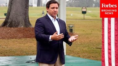 Gov. Ron DeSantis Promotes K9s For Warriors Organization On Veterans Day
