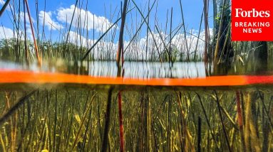 Florida Rep Admonishes Congress For Failing To Protect Beauty Of Kissimmee River