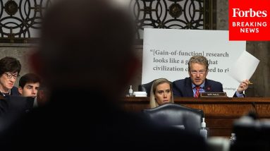 GOP Senator Grills Fauci On Wuhan Lab, COVID-19 Origins Following Rand Paul Clash