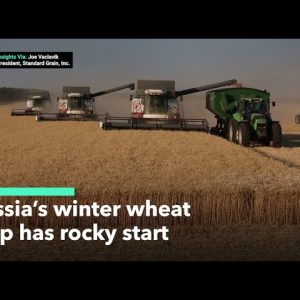 Russia’s Winter Wheat Planting Gets a Slow Start