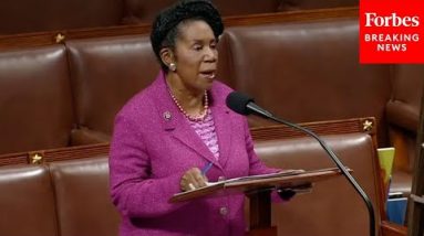 'Every American Workers Is Protected': Jackson Lee Advocates For Hiring Bill
