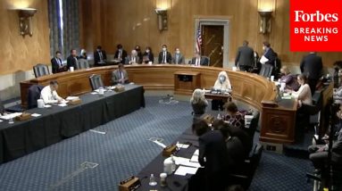 Senate Homeland Security Committee Holds A Hearing