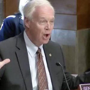 'It's Insane What We've Done Here': Ron Johnson Castigates Biden Over Border