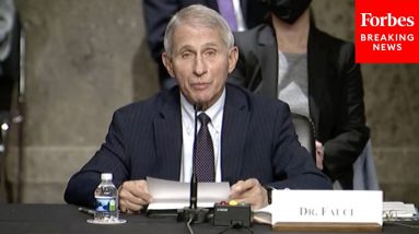 WATCH: Fauci's Full Opening At Senate Health Committee Hearing Promoting Booster Shots