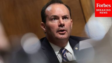'We Honor Today All Who Served': Mike Lee Commemorates Veterans Day
