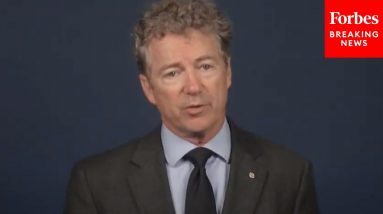 'We Thank All Those Who Have Served': Rand Paul Commemorates Veterans Day