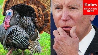 White House Asked: Will Biden Be Pardoning Turkeys For Thanksgiving?